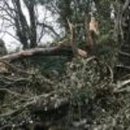 동광리-19 이미지