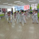 국가대표 참 태권도장 이미지