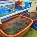 수산물직판장(6호) 이미지