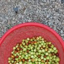 준이펜션 이미지