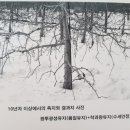 방추농장 네이버블로그