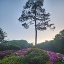 백제CC골프트레이닝센터 이미지