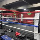 강남스타복싱 | [강남복싱] 홍수환스타복싱 도전! 선릉 복싱 다이어트 맛집에서 땀 흘리고 온 후기 🥊