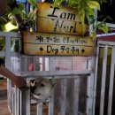 황제민박 이미지