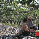 박상수농장 이미지