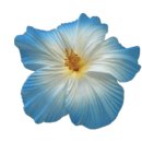 도서관 미술 수업 이미지