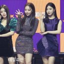 민영컴퍼니 Daum카페