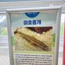 [♻️에코콤플렉스]지구를 지키기 위해 다녀온 두둥이들!🐟 이미지