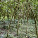 커피별여행자 이미지