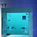 [덕계] 미래를 위한 쉽고 재미있는 인생 인문학 | 국립울진해양과학관 | 바닷속 전망대 | 진짜 바닷속 들여다보기 🪸🪼