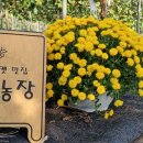 영재농장 이미지