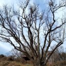 풍도보건진료소 이미지