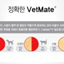 벳메이트 이미지