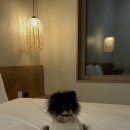 잔원유림 이미지