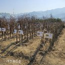 장수군산림조합 이미지