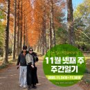 (주)주간강진신문사 | 2025년 11월 넷째 주 주간일기