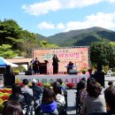 완도수목원 이미지