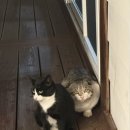 하이비치 펜션 이미지