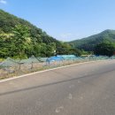 감산2리 티스토리