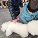 조이랜드어린이집 이미지