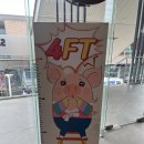 뉴타운슈퍼 | 여행] 세부 맛집, 뉴타운 삼겹살롱 재방문, LG 가든워크 환전, 파파잔스 파스타 배달후기, 뉴타운 슈퍼마켓