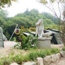 횡성자연휴양림 이미지