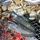 토종풍천민물장어 이미지