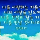 잠언 8장 17절 이미지