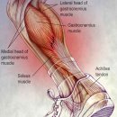 송도스포츠정형외과의원 이미지