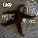 매트필라테스(저녁) | 후기 | 당산역 다름알음필라테스 3주 후기