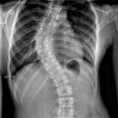 서울튼튼재활의학과의원 이미지