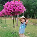 한샘어린이집 이미지