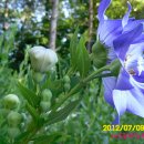 농가월령 이미지