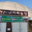 석기농장 이미지