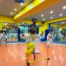 유림엘리트태권도 이미지