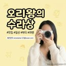 봄여울약국 | 오리왕 납시오 99