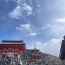 한잎클로버 | 나라 여행 2일차 교토 1일 버스투어 한 길고 긴 후기 1탄 (라쿠투어/여우신사/기요미즈데라(청수사...