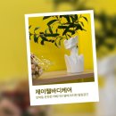 제이웰케어