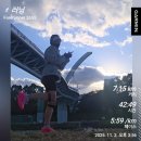 11260-2-10-11 | 마운자로 5.0mg 4주차(10/27~11/2) - 식단 부작용 내돈내산 후기(마운자로 8주차)