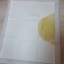 올펫 | 강아지 가성비 배변패드 추천 올펫 후기