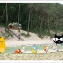 소나무공원 화장실 이미지