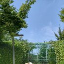 하안노인종합복지관 이미지