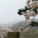 (주)희원금속 | 호암미술관 희원, 서울근교 봄나들이 추천해요.