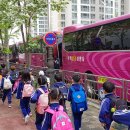 진영중앙초등학교 이미지