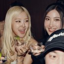 로제 카카오 검색결과