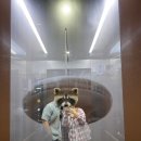 다시마 꽈배기