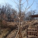 인천서구발달장애인평생교육센터 이미지