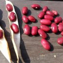 쉴만한물가펜션 이미지