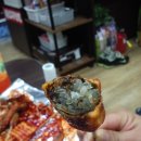 꼬마애견 이미지