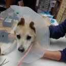 제이병원 이미지